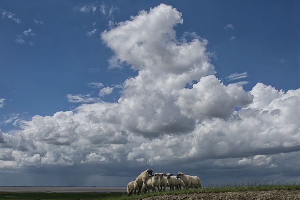 Aktionstage  vor großer Kulisse