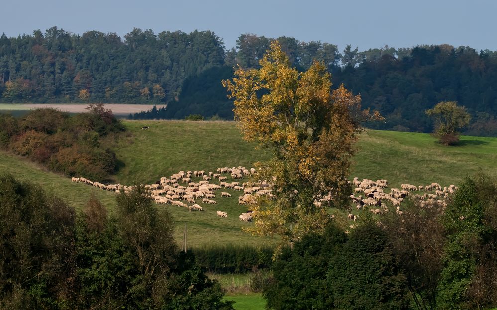 Aktive Landschaftspflege