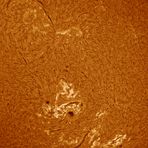 Aktive Region 1504 vom 15.06.2012