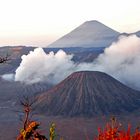 Aktiver Vulkan Mt. Bromo