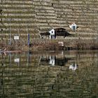 Aktivitäten auf dem Neckar