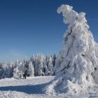 aktuell bei Traumwetter...