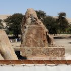 Aktuelle Ausgrabungen hinter den Memnon-Kolossen / Theben West (2)