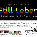 Aktuelle Foto-Ausstellung "Still-Leben" - Fotografien von Günter Suppé (Kassel) im Dreiländereck