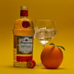 Aktueller Lieblings-Gin