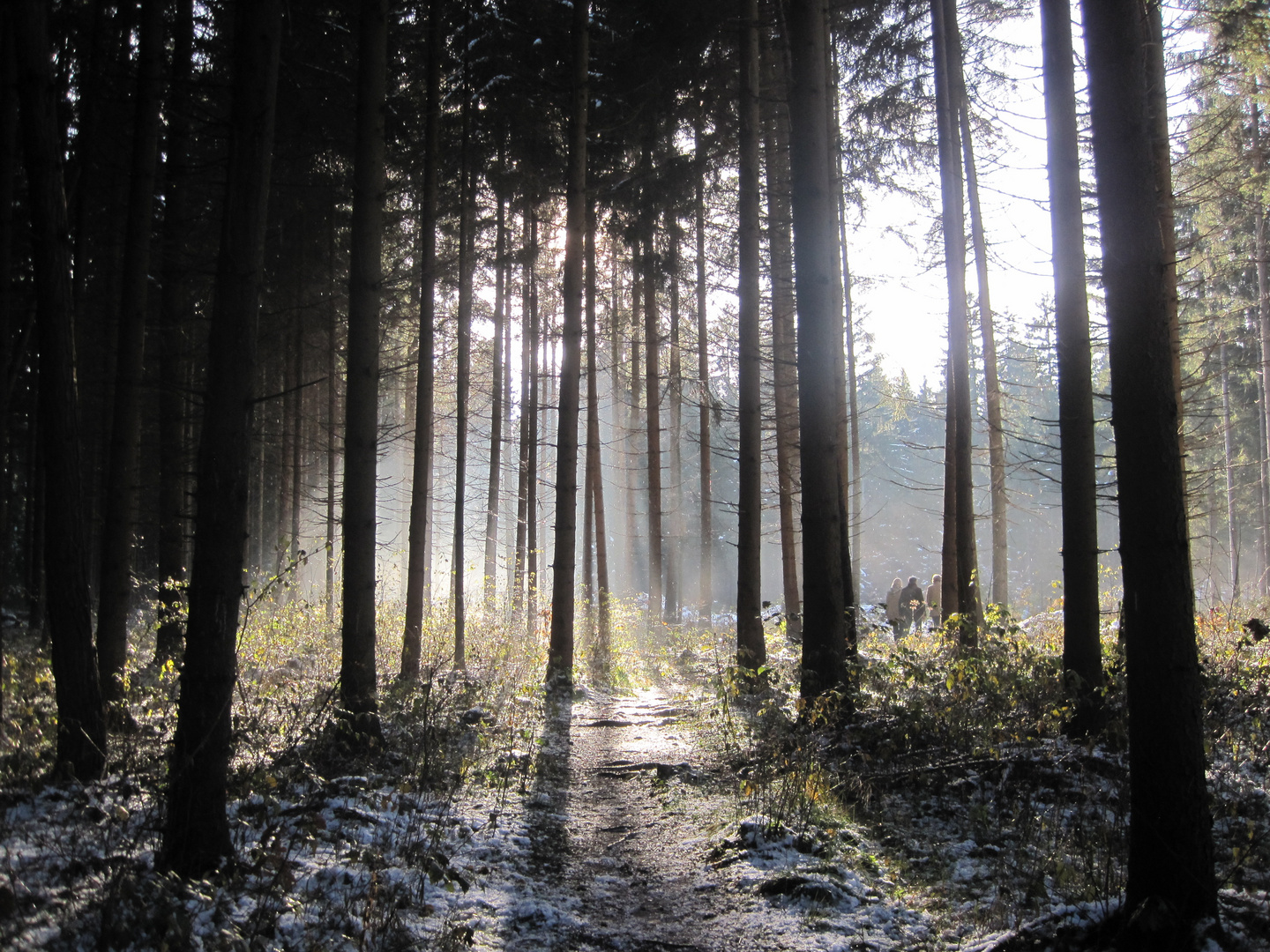 Aktueller "Schnee-Stand"...