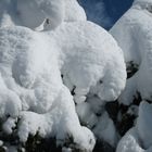 aktueller wetterbericht