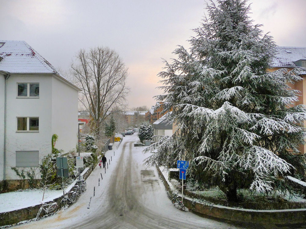 Aktueller Wetterbericht aus Köln