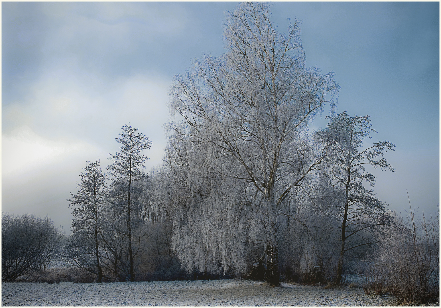 Aktueller Wetterbericht