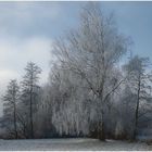 Aktueller Wetterbericht