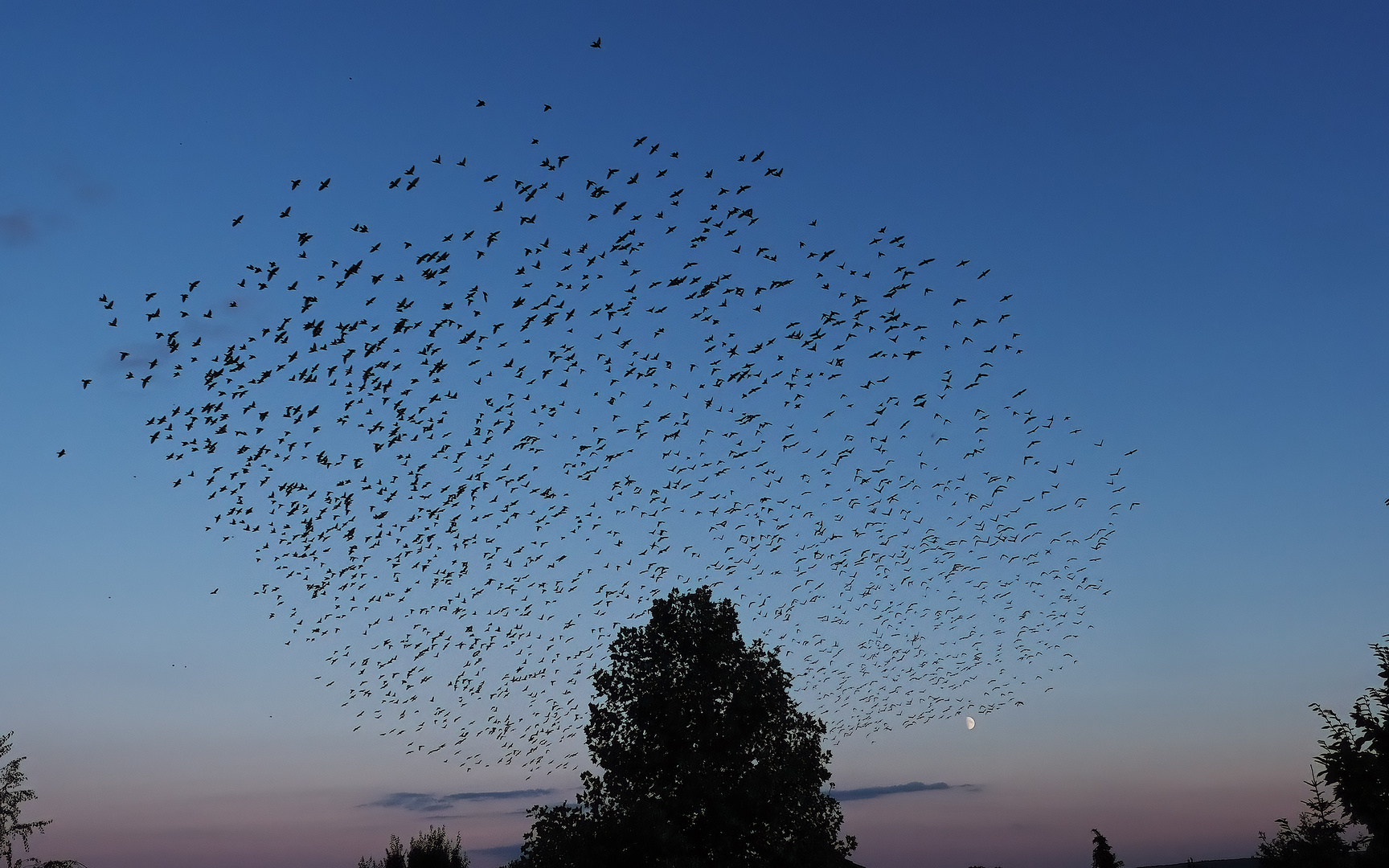 aktuelles abendliches Spektakel 