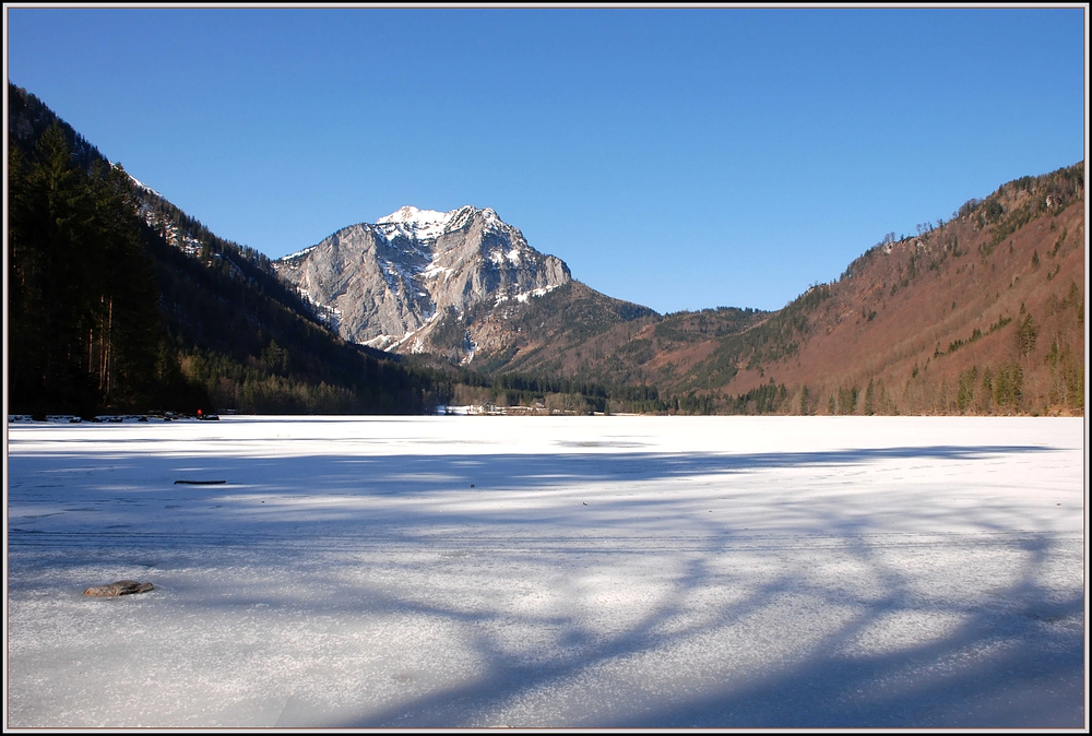 Aktuelles vom Langbathsee