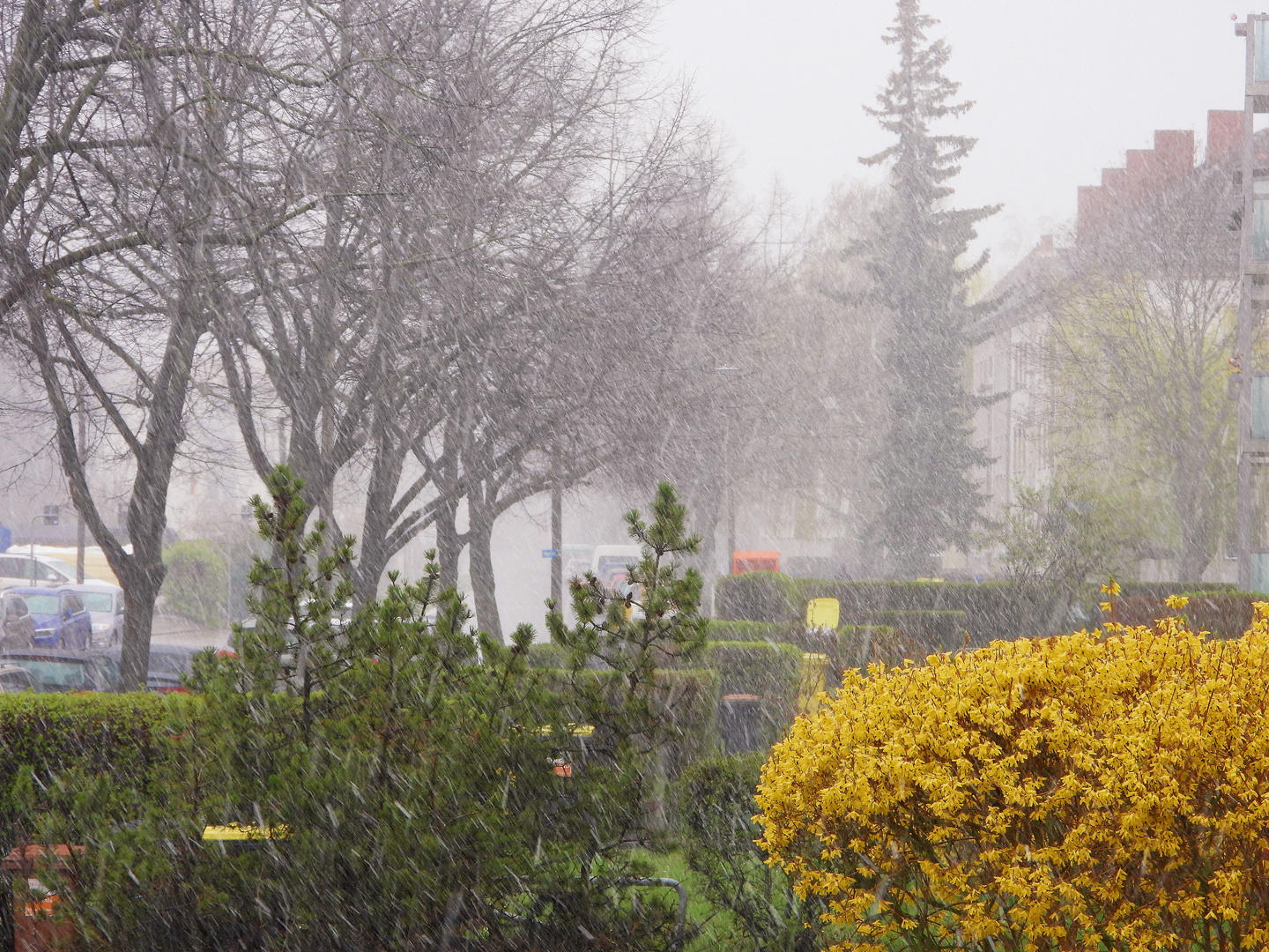 aktuelles Wetter - Schneefall