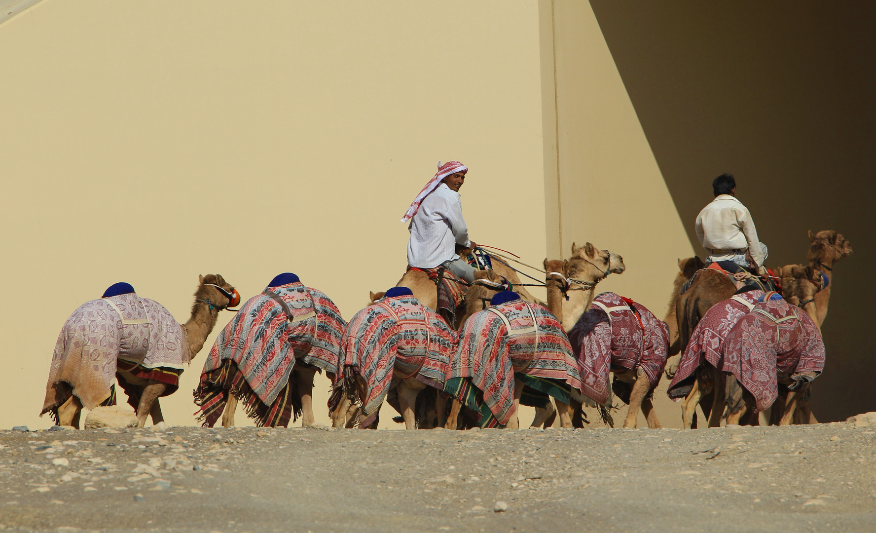 Al Ain Kamelmarkt