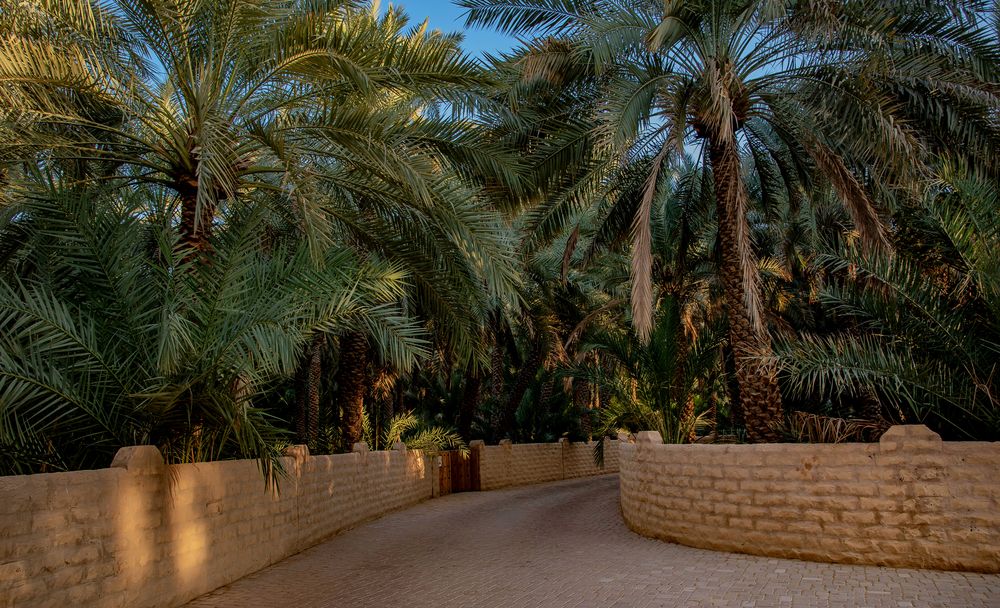 Al Ain Oasis