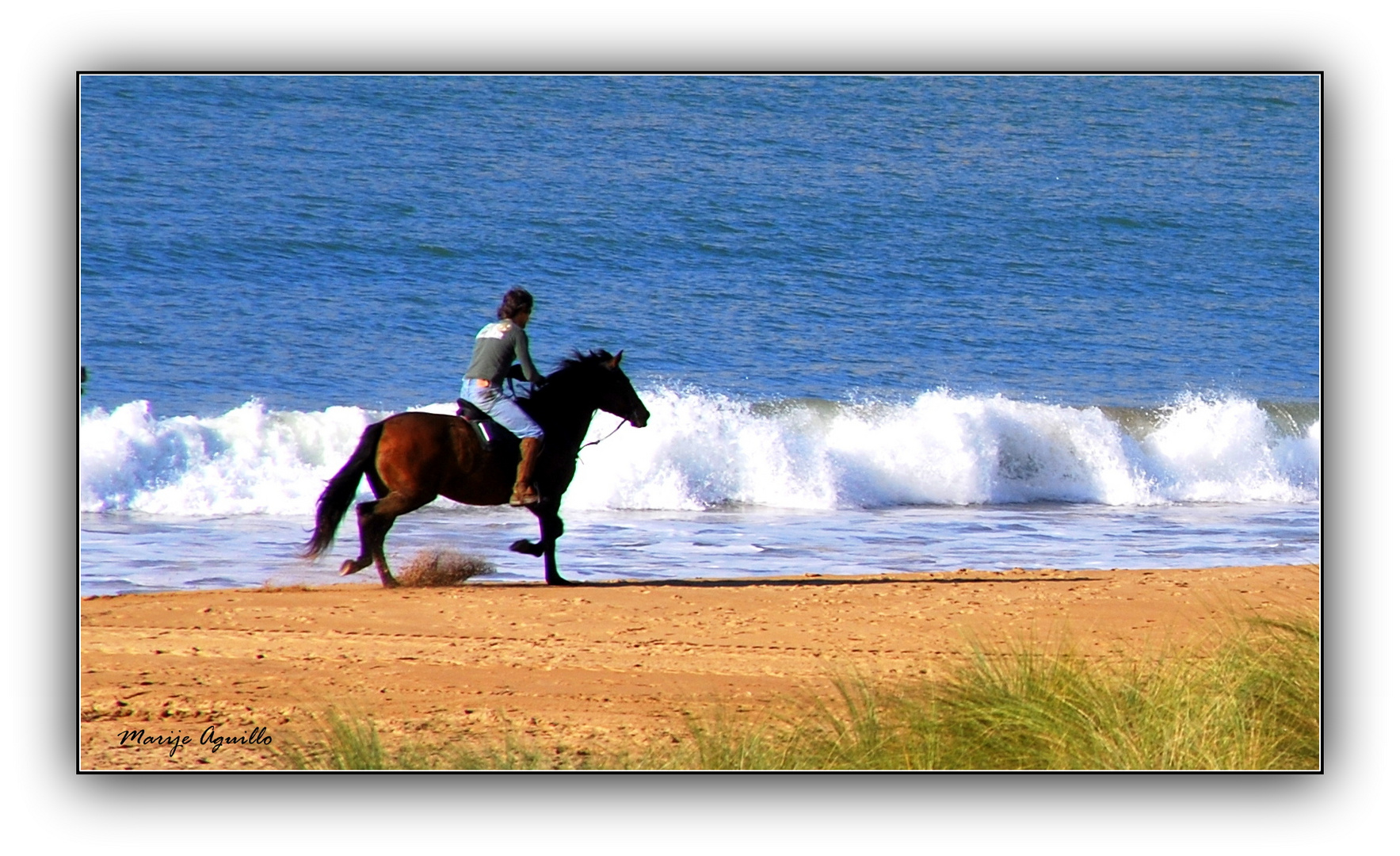 Al aire libre - I