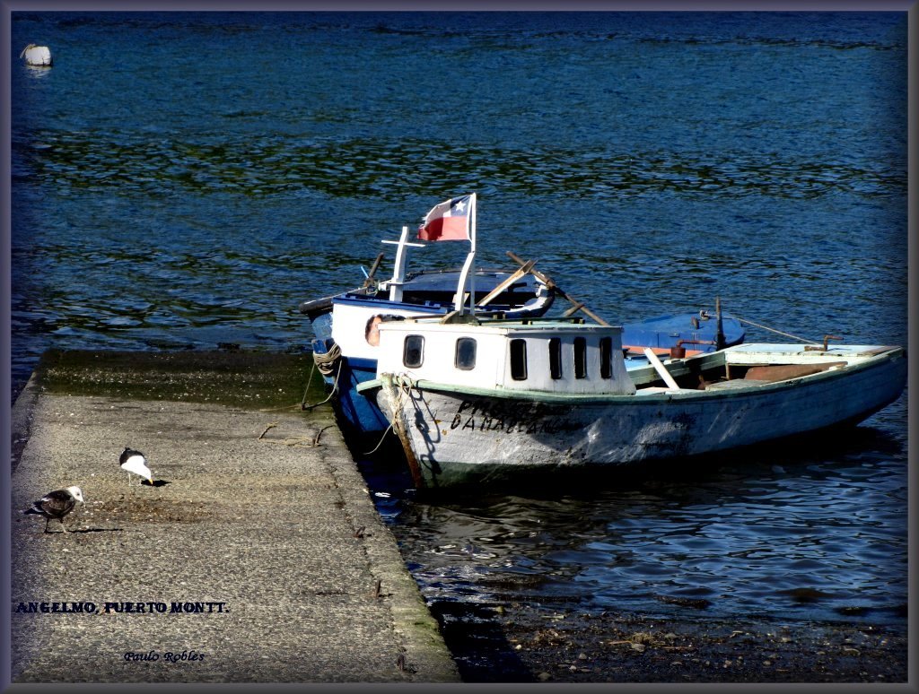 Al amparo de baja mar