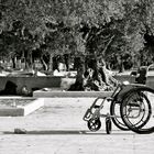 Al Aqsa Garden