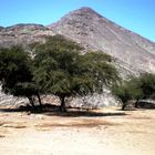 Al borde del desierto