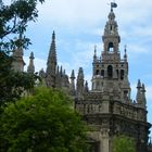 Al cielo con ella La Giralda