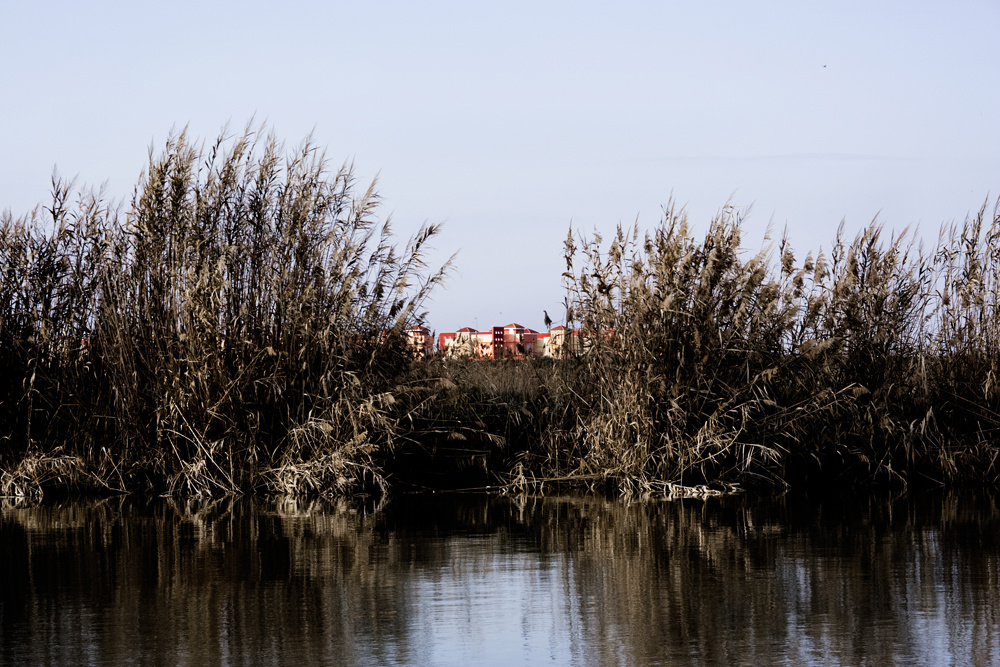 Al di là del fiume.