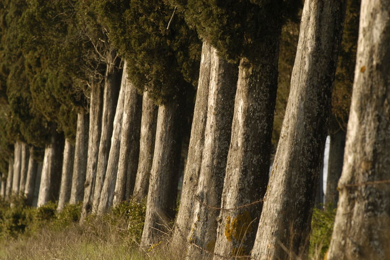 al dilà della strada