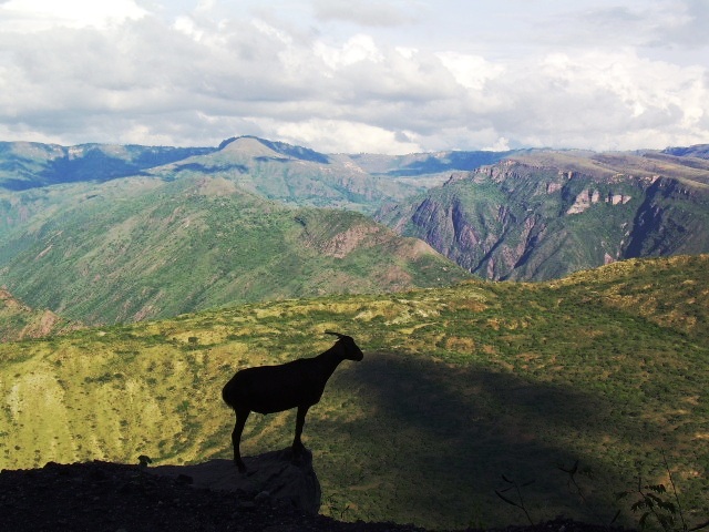 al filo de la montaña