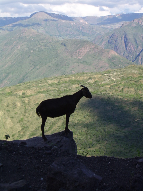 al filo de la montaña.1. de sandra escudero 