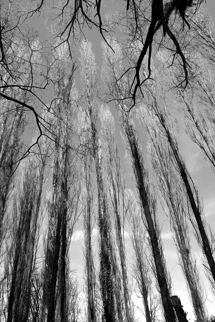 Al fiume...guardando il cielo