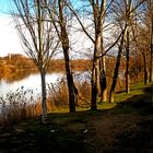 Al fondo el Monasterio de Rueda-Escatron-Zaragoza