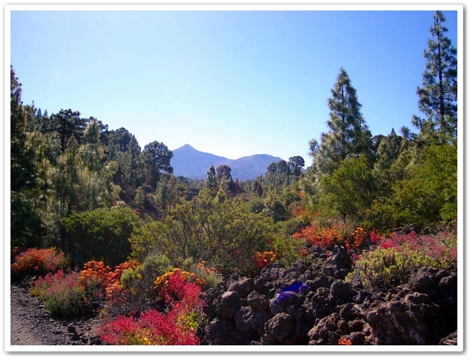 Al fondo El Teide