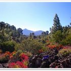 Al fondo El Teide