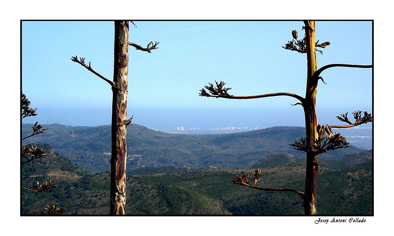 Al fons, el Mediterrani - way off in the distance, the Mediterranean