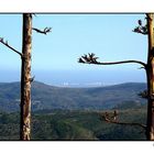 Al fons, el Mediterrani - way off in the distance, the Mediterranean