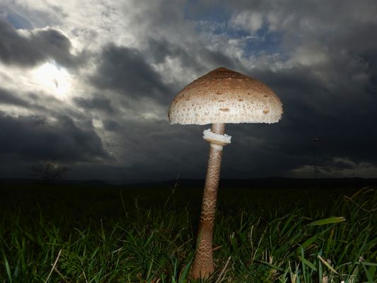 ---{{{al-l-leine----