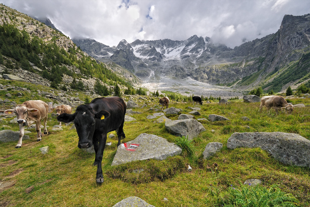 al lago d'Aviolo