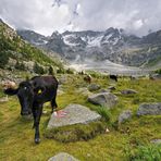 al lago d'Aviolo