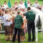 Al Lahab gibt Kinderaudienz