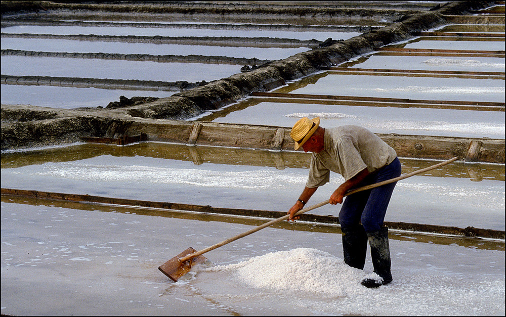 Al lavoro di Chantal Togni