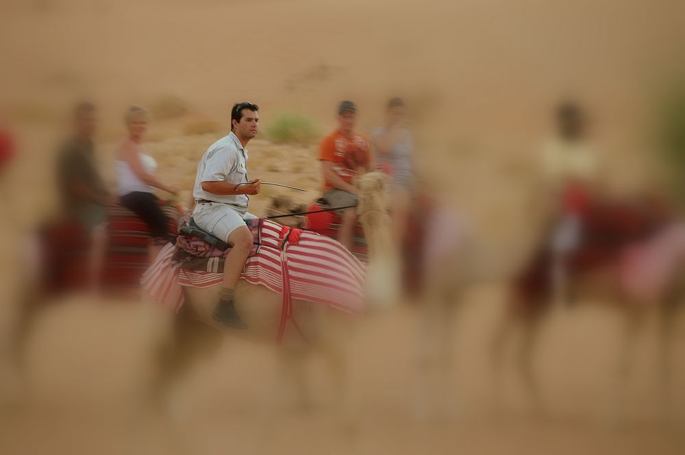 Al Maha Desert Resort & Spa - Camel Trekking