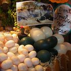 AL MERCADO DE LA BOQUERIA