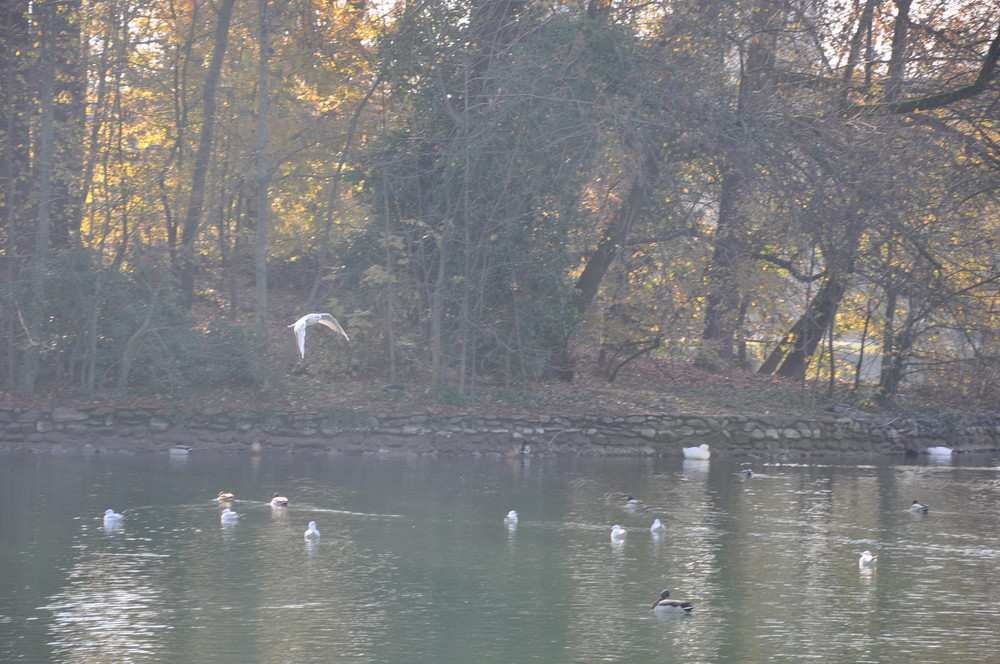 al parco Ducale di Parma