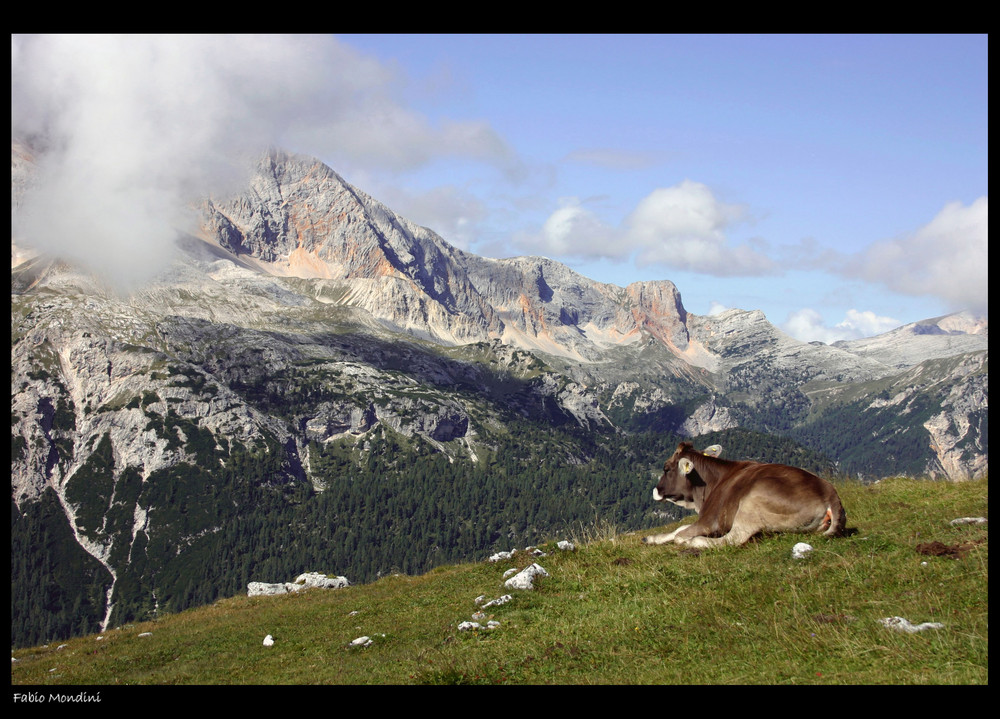 Al Pascolo....