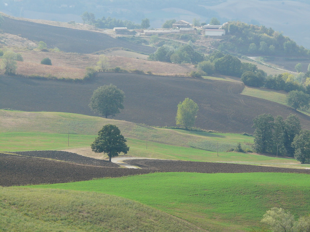 al passo del carnaio