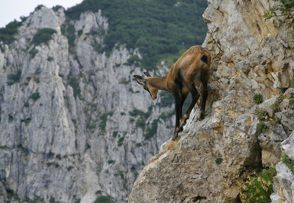 al rifugio Papa