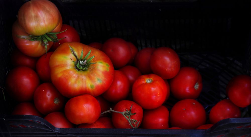 Al rojo vivo.