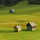 Al sole e all'ombra