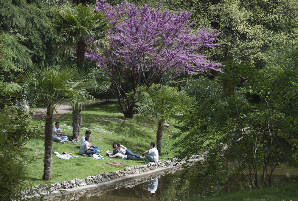 AL SOLECITO DE PRIMAVERA ( II )