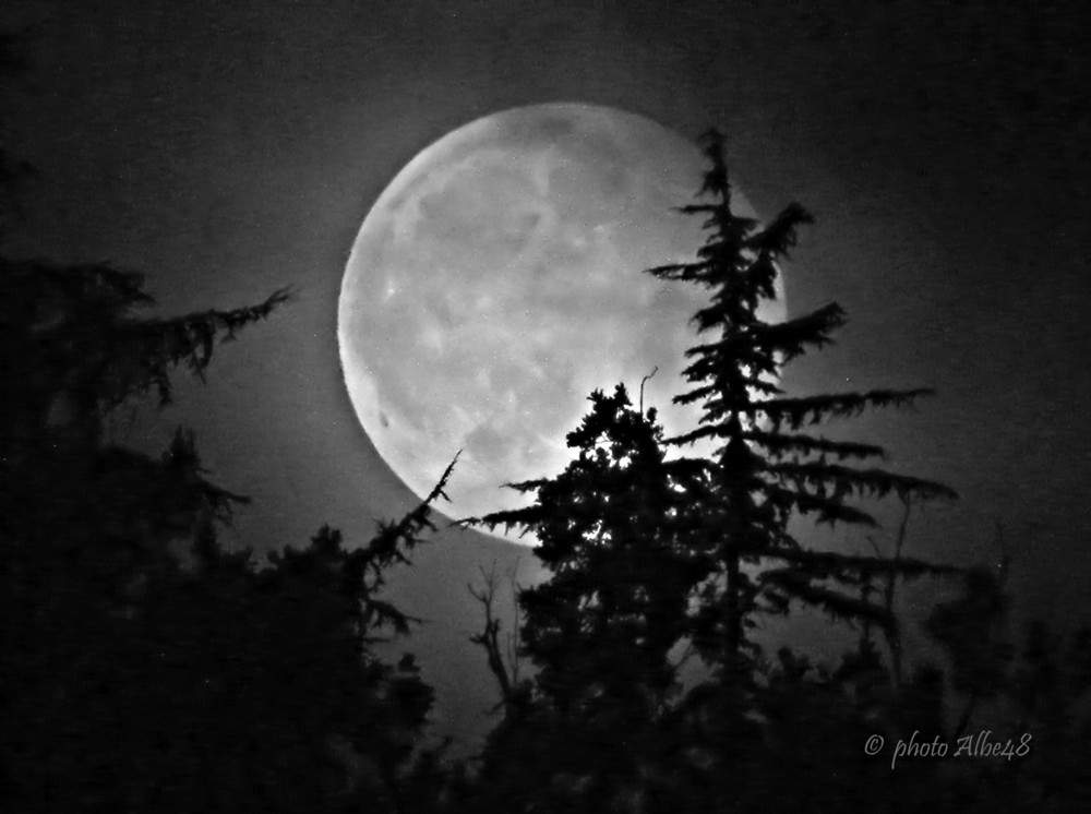 Al sorgere della Luna piena...