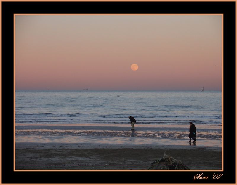 Al tramonto di luna